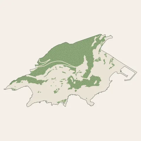 Cap-d'Ail : bois, forêts et landes