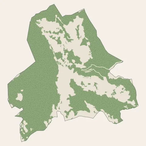 Falicon : bois, forêts et landes