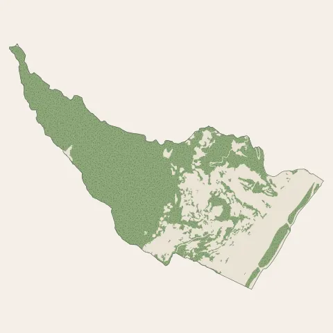 Gattières : bois, forêts et landes