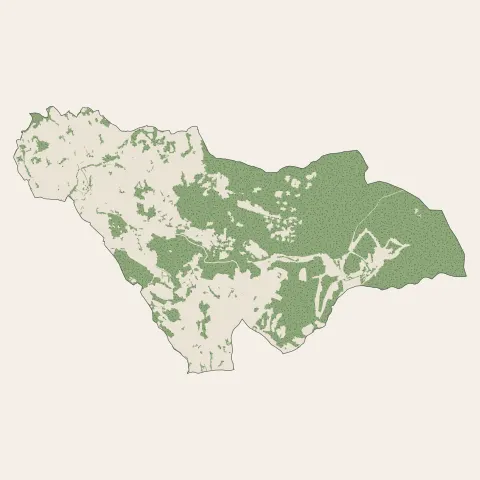 Opio : bois, forêts et landes