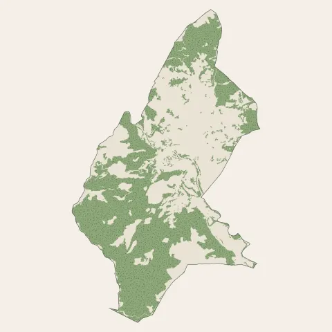 Pégomas : bois, forêts et landes