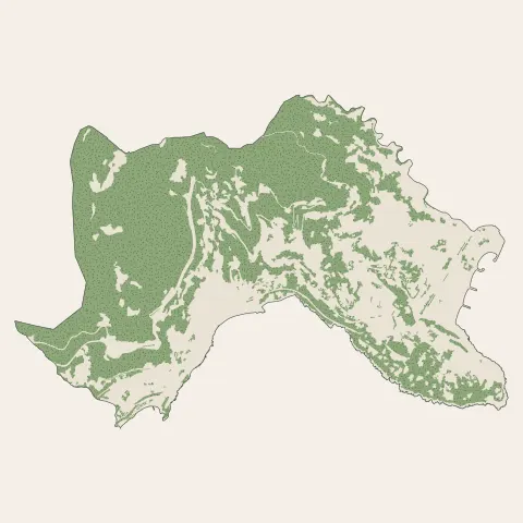 Roquebrune-Cap-Martin : bois, forêts et landes