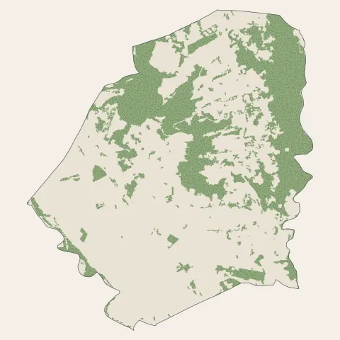 La Roquette-sur-Siagne : bois, forêts et landes