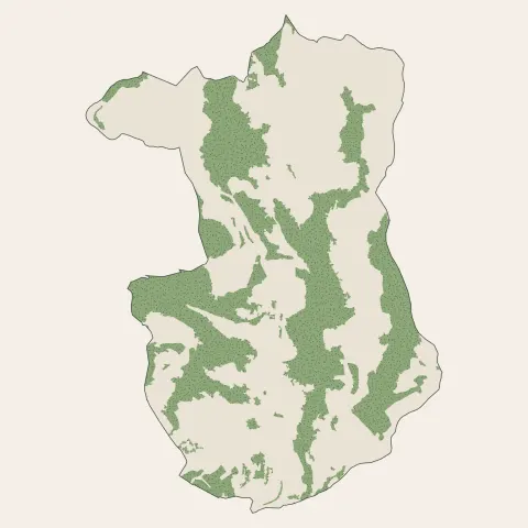 Saint-André-de-la-Roche : bois, forêts et landes
