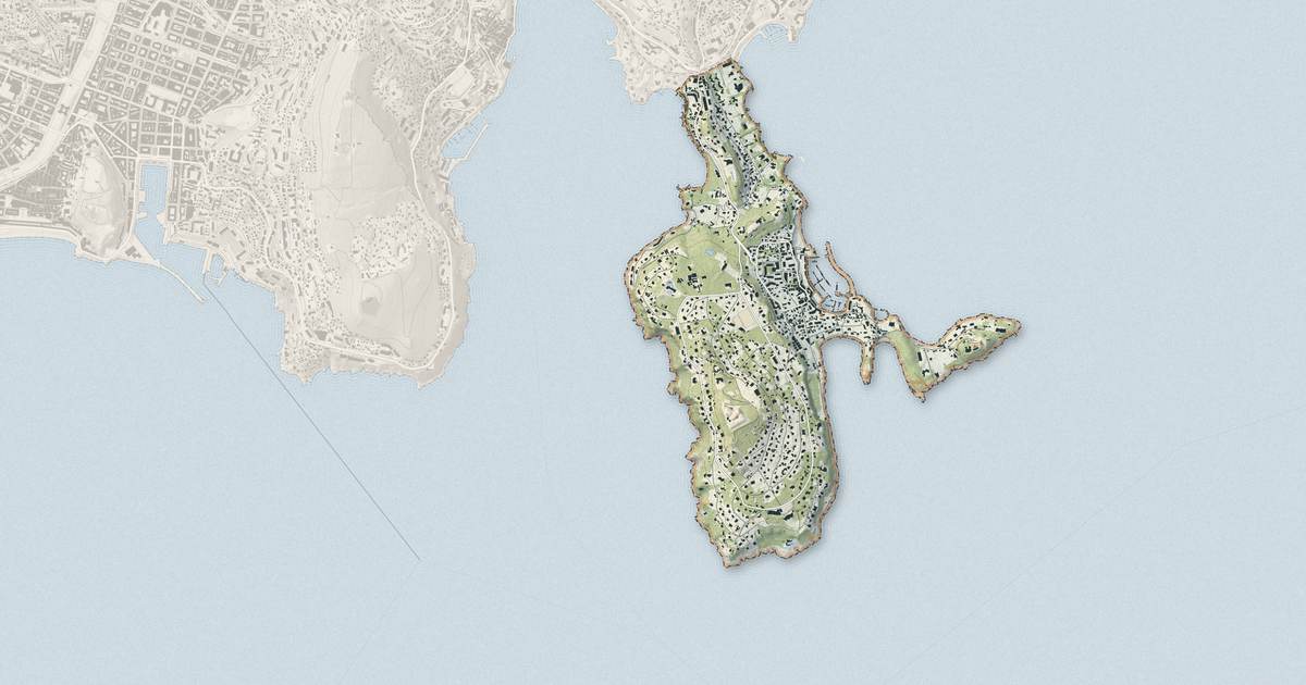 Portrait cartographique de Saint-Jean-Cap-Ferrat : relief, eau, forêts, bâti et voies, calculés à partir des données de l'IGN