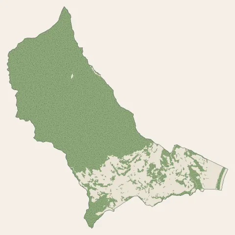Saint-Jeannet : bois, forêts et landes