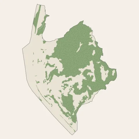 Saint-Martin-du-Var : bois, forêts et landes