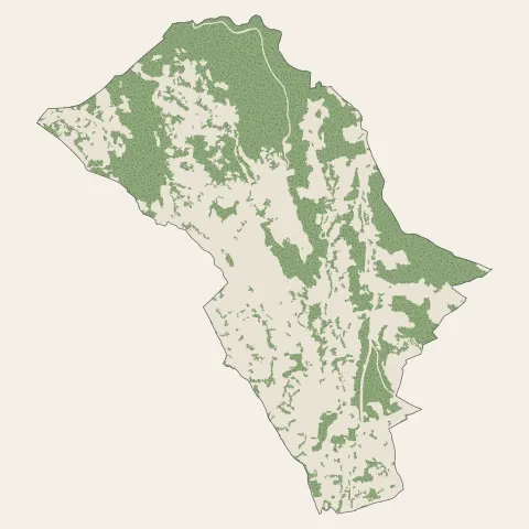 Saint-Paul-de-Vence : bois, forêts et landes