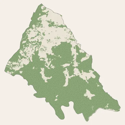 Le Tignet : bois, forêts et landes