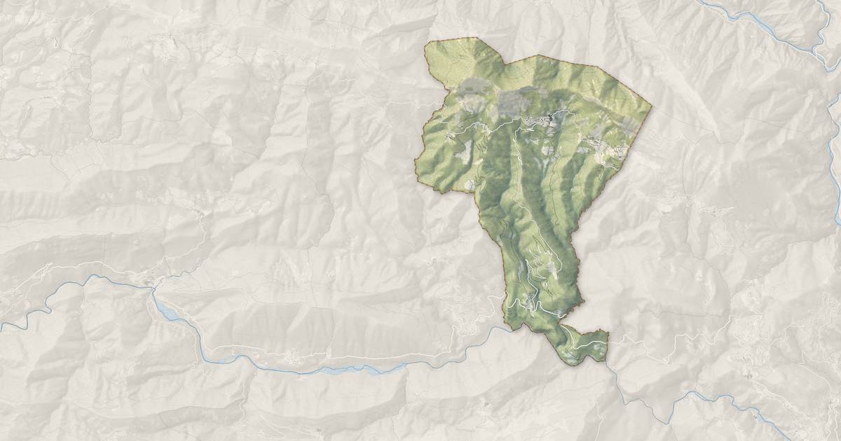Portrait cartographique de Toudon : relief, eau, forêts, bâti et voies, calculés à partir des données de l'IGN