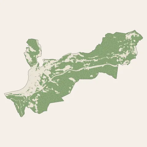 La Trinité : bois, forêts et landes