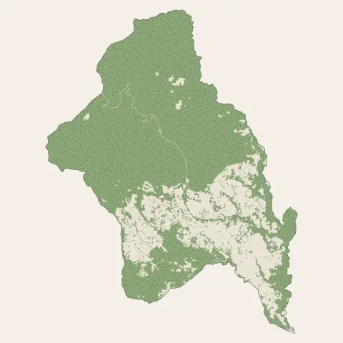 Vence : bois, forêts et landes