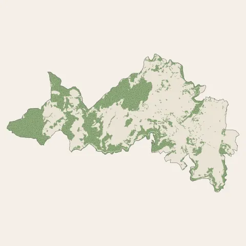 Annonay : bois, forêts et landes