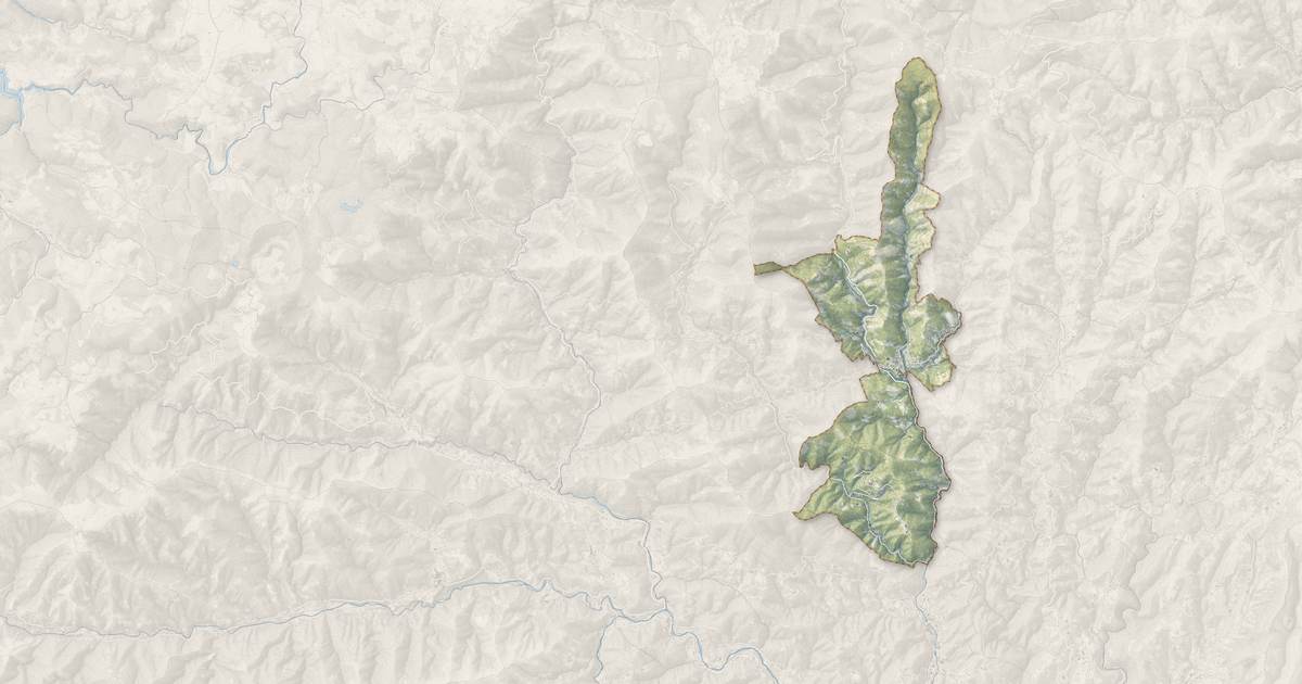 Portrait cartographique de Vallées-d'Antraigues-Asperjoc : relief, eau, forêts, bâti et voies, calculés à partir des données de l'IGN