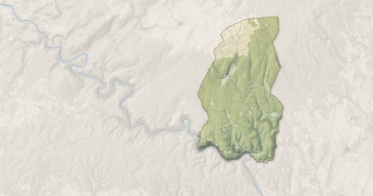 Portrait cartographique de Bidon : relief, eau, forêts, bâti et voies, calculés à partir des données de l'IGN