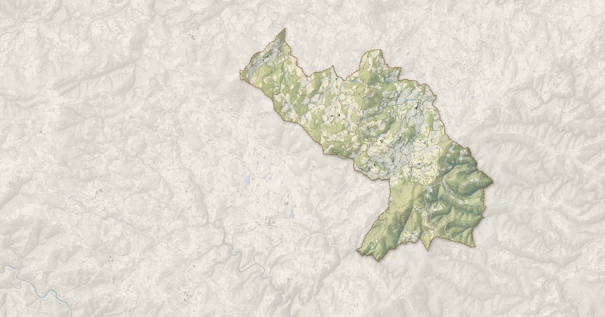 Portrait cartographique de Boffres : relief, eau, forêts, bâti et voies, calculés à partir des données de l'IGN