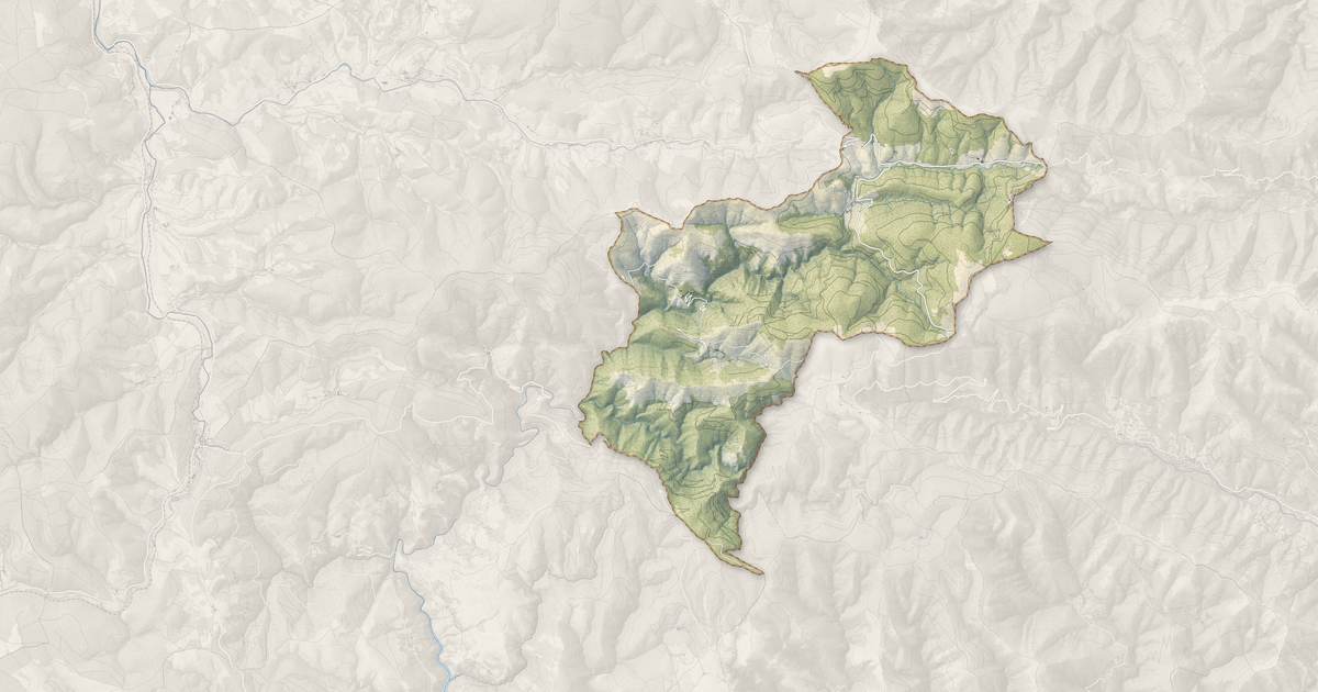 Portrait cartographique de Borne : relief, eau, forêts, bâti et voies, calculés à partir des données de l'IGN