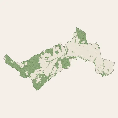 Boulieu-lès-Annonay : bois, forêts et landes