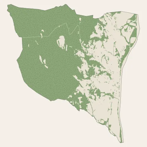 Bourg-Saint-Andéol : bois, forêts et landes