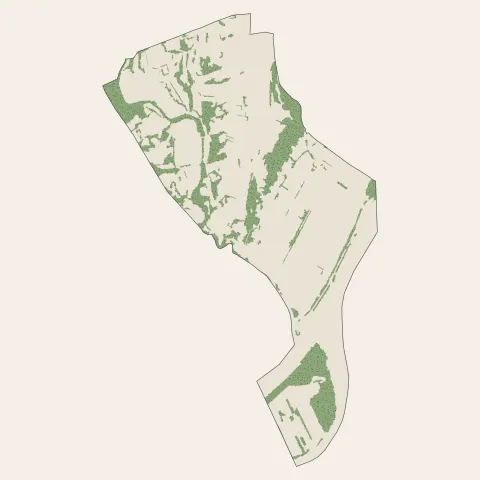 Charmes-sur-Rhône : bois, forêts et landes