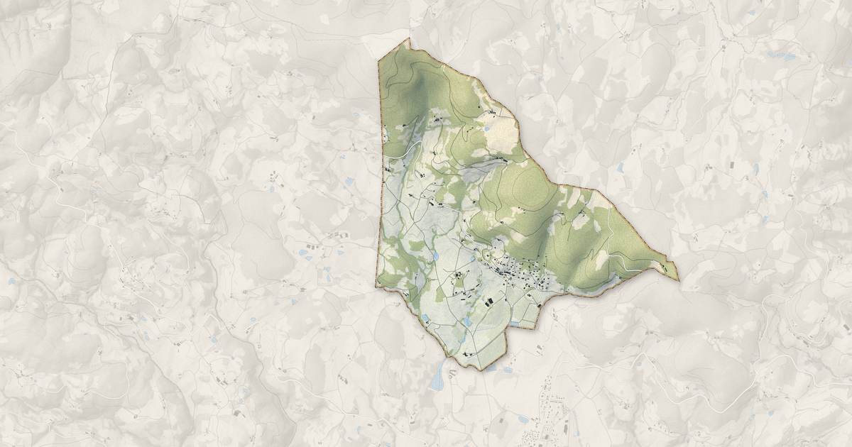 Portrait cartographique de Châteauneuf-de-Vernoux : relief, eau, forêts, bâti et voies, calculés à partir des données de l'IGN