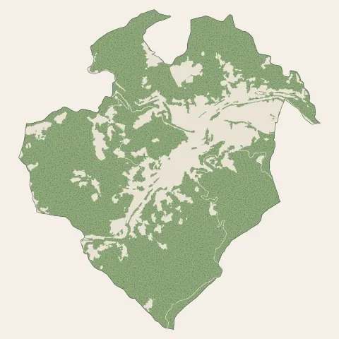 Le Cheylard : bois, forêts et landes