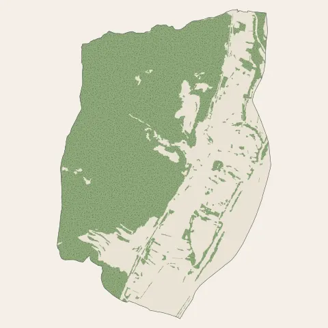 Cruas : bois, forêts et landes