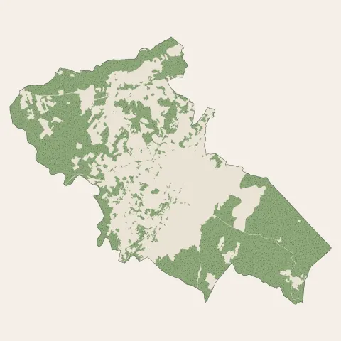 Lablachère : bois, forêts et landes
