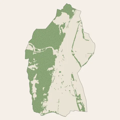 Le Pouzin : bois, forêts et landes