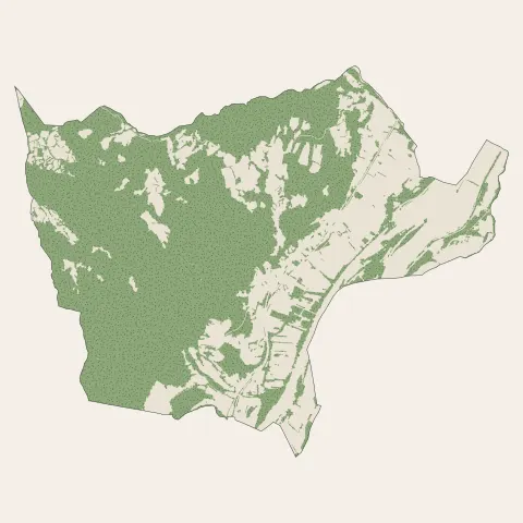 Rochemaure : bois, forêts et landes
