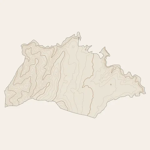 Roiffieux : courbes de niveau