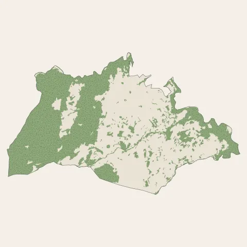 Roiffieux : bois, forêts et landes
