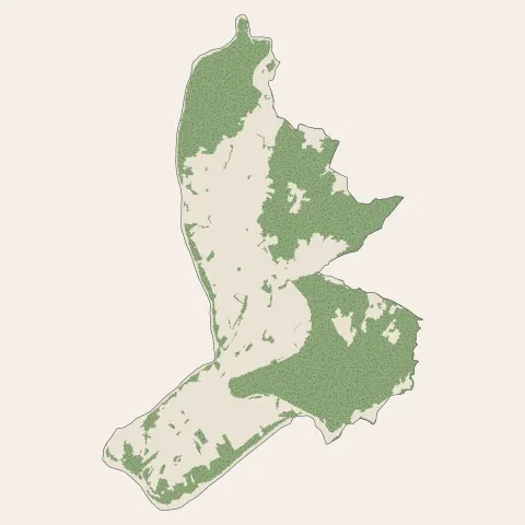Ruoms : bois, forêts et landes