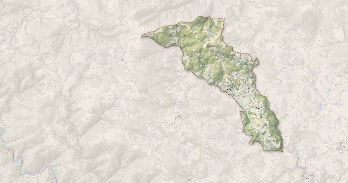 Portrait cartographique de Saint-Apollinaire-de-Rias : relief, eau, forêts, bâti et voies, calculés à partir des données de l'IGN