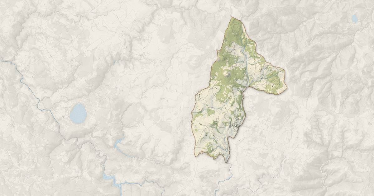 Portrait cartographique de Sainte-Eulalie : relief, eau, forêts, bâti et voies, calculés à partir des données de l'IGN