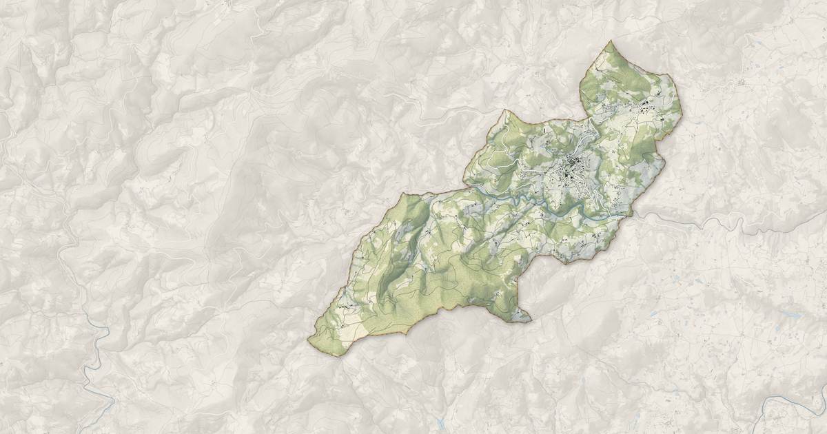 Portrait cartographique de Saint-Félicien : relief, eau, forêts, bâti et voies, calculés à partir des données de l'IGN