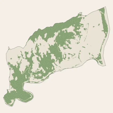 Saint-Jean-de-Muzols : bois, forêts et landes