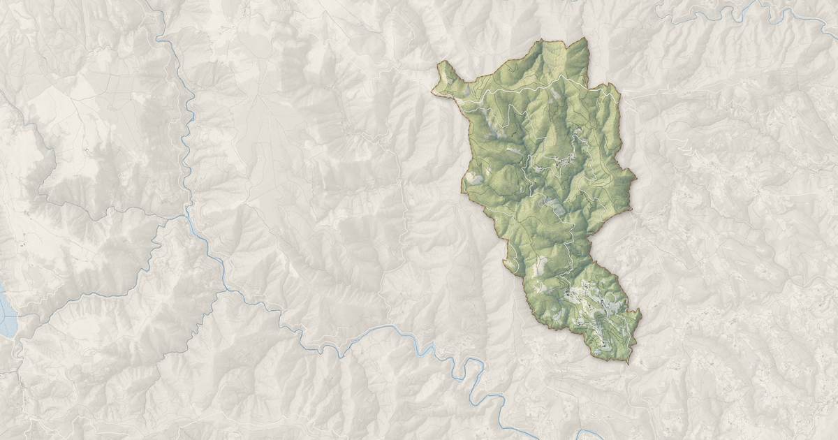 Portrait cartographique de Saint-Pierre-Saint-Jean : relief, eau, forêts, bâti et voies, calculés à partir des données de l'IGN