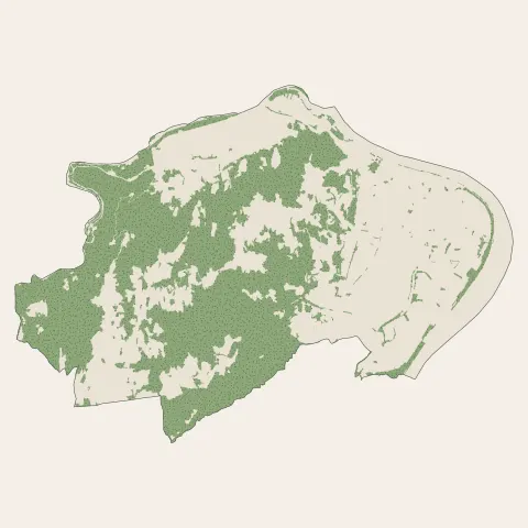 Tournon-sur-Rhône : bois, forêts et landes