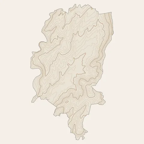 Vesseaux : courbes de niveau