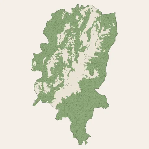 Vesseaux : bois, forêts et landes