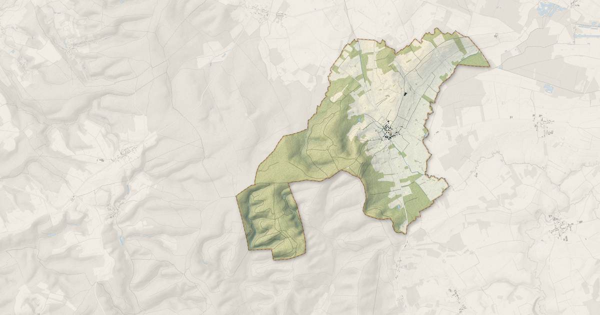 Portrait cartographique de Briquenay : relief, eau, forêts, bâti et voies, calculés à partir des données de l'IGN