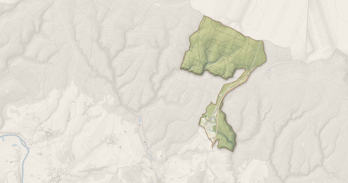 Portrait cartographique de La Chapelle : relief, eau, forêts, bâti et voies, calculés à partir des données de l'IGN