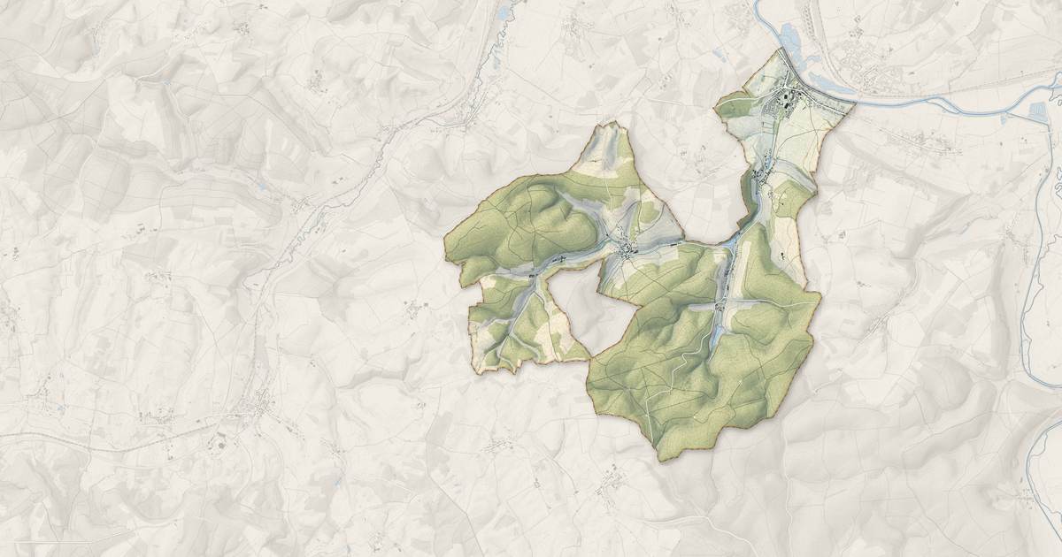 Portrait cartographique de Flize : relief, eau, forêts, bâti et voies, calculés à partir des données de l'IGN
