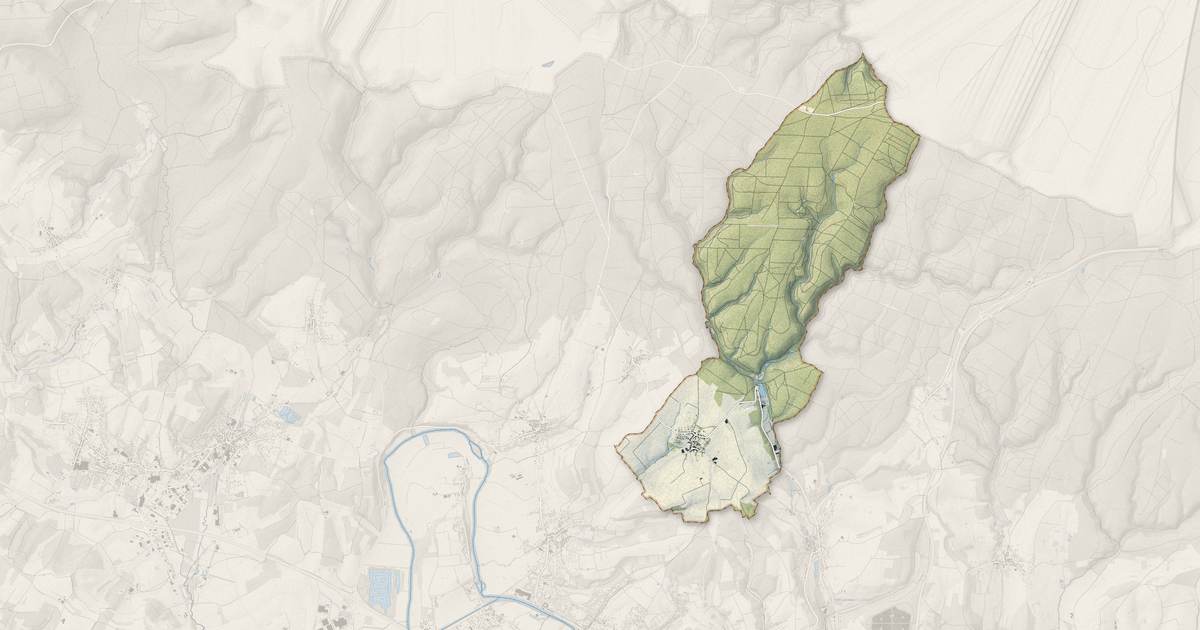 Portrait cartographique de Illy : relief, eau, forêts, bâti et voies, calculés à partir des données de l'IGN