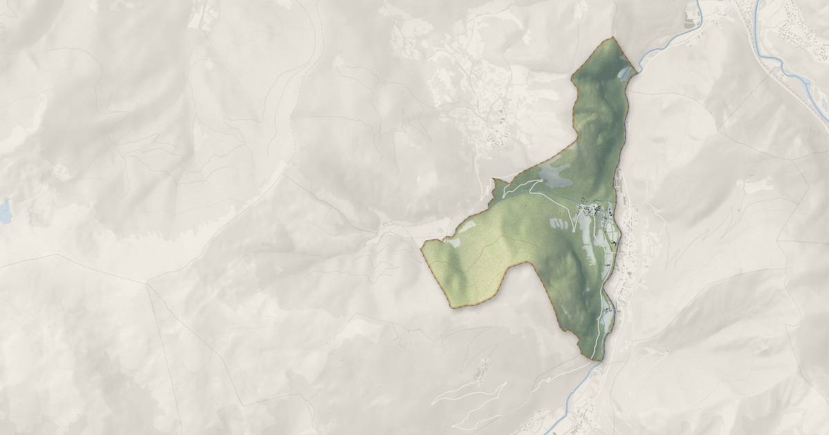 Portrait cartographique de Alliat : relief, eau, forêts, bâti et voies, calculés à partir des données de l'IGN