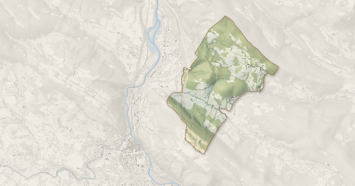 Portrait cartographique de Arabaux : relief, eau, forêts, bâti et voies, calculés à partir des données de l'IGN