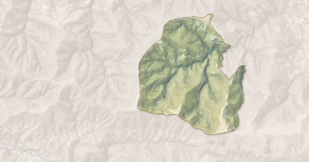 Portrait cartographique de Le Bosc : relief, eau, forêts, bâti et voies, calculés à partir des données de l'IGN