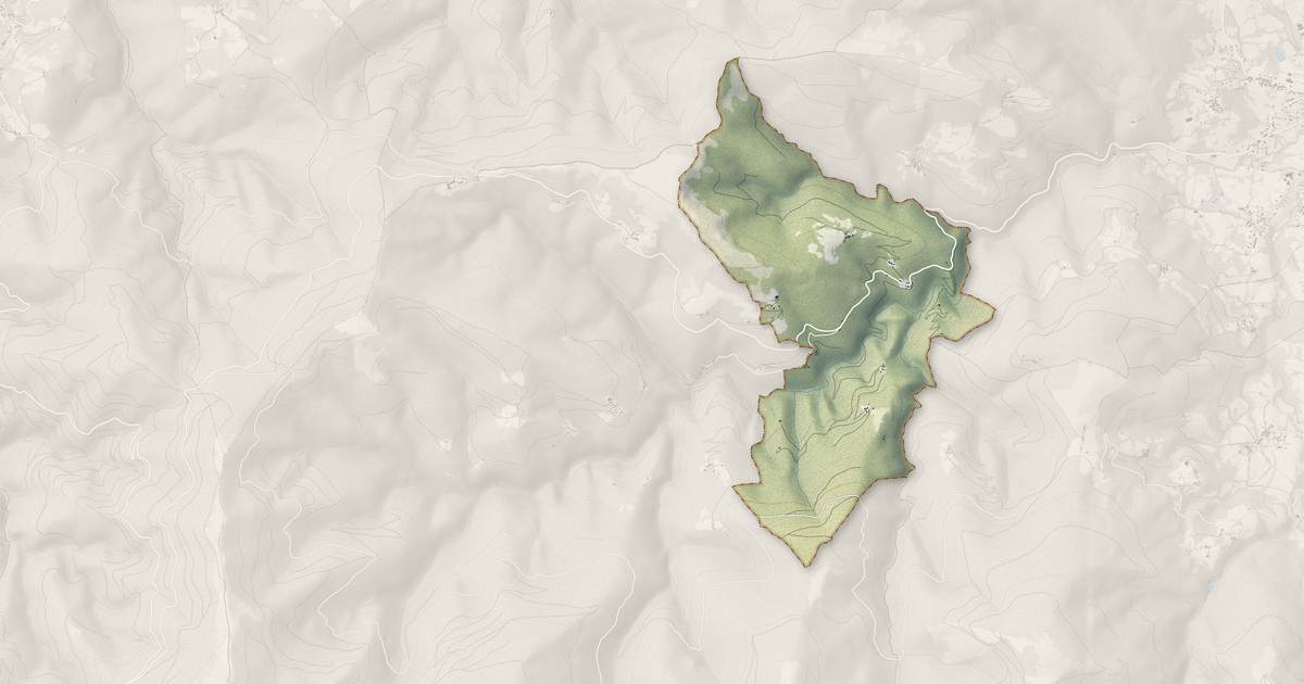 Portrait cartographique de Burret : relief, eau, forêts, bâti et voies, calculés à partir des données de l'IGN