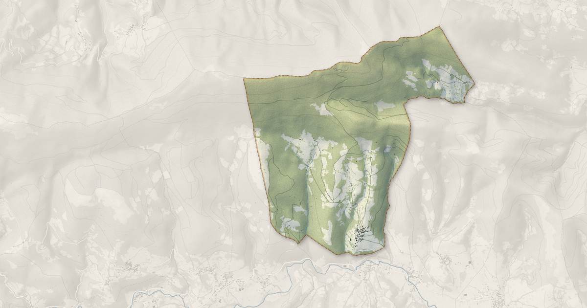 Portrait cartographique de Buzan : relief, eau, forêts, bâti et voies, calculés à partir des données de l'IGN